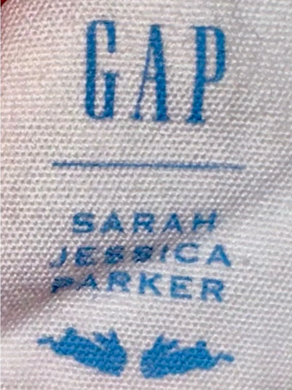GAP Pink and Blue Gingham Ruffle Top